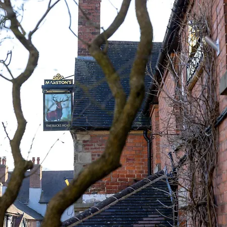 The Bucks Head-2
